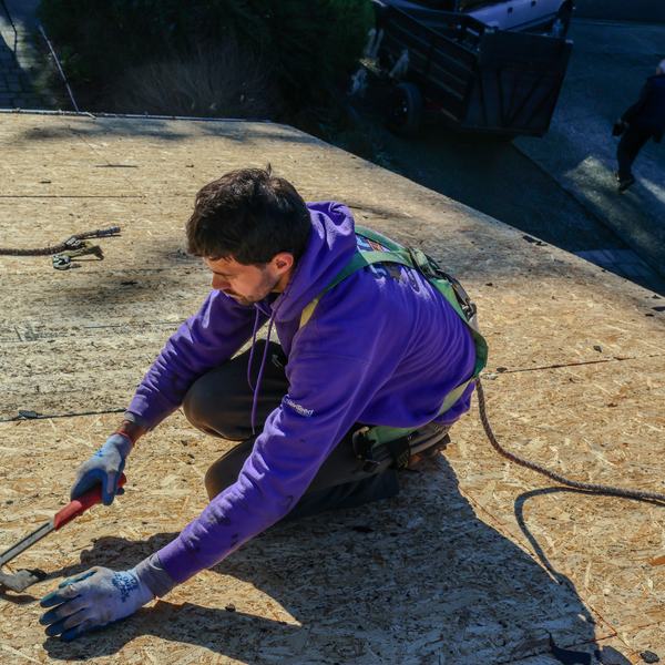 Titan Roofing crew member in a purple hoodie nailing new plywood decking on a roof